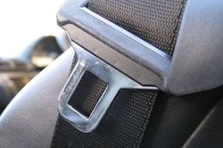 seat belt