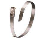 Stainless Steel Untitled 1