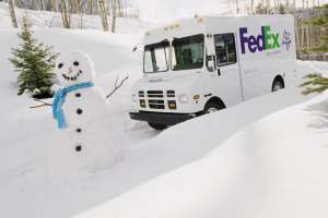 Fed Ex2