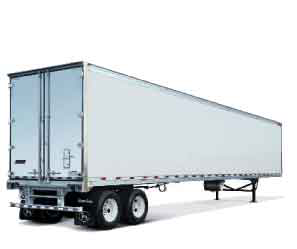 Great Dane Untitled 1