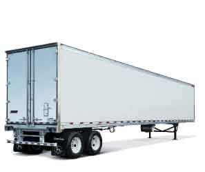 Great Dane Untitled 1