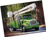 Medium Duty Untitled 1