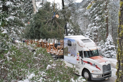 Mack Pinnacle With Capitol Christmas Tree