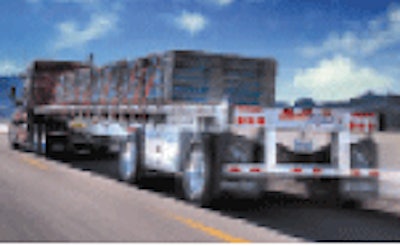 Freedom X Untitled 1