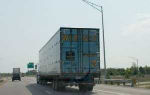 Werner