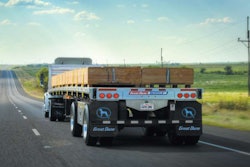 Great Dane Freedom Lt