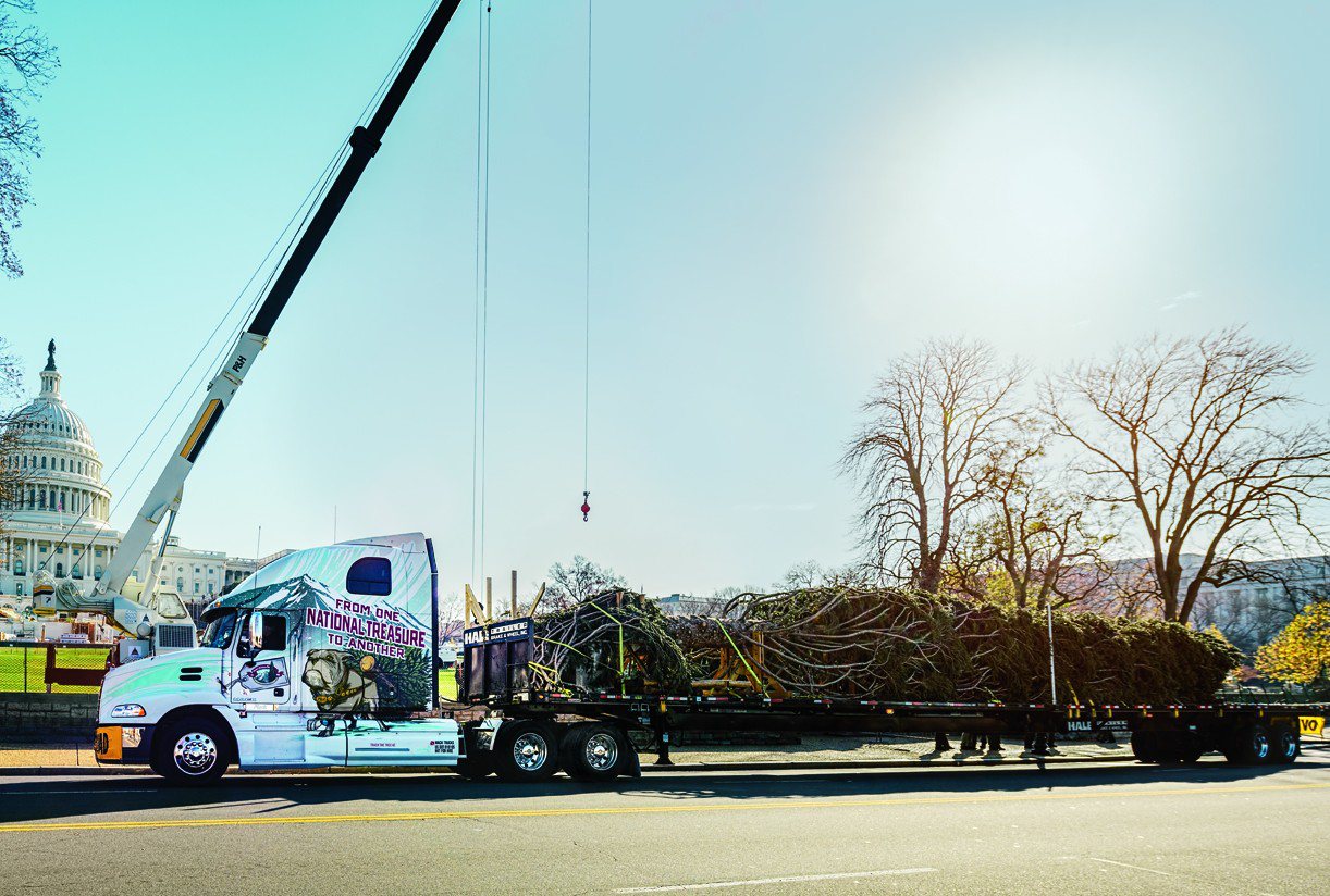 Capitol Xmas Tree Jsr96 A1 F40 E1354804842209