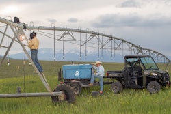 2015-RANGERDiesel-15933