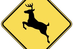deer_crossing