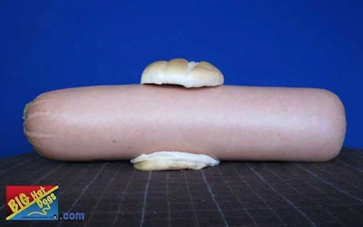 giant-hot-dog-27152-1259202998-221