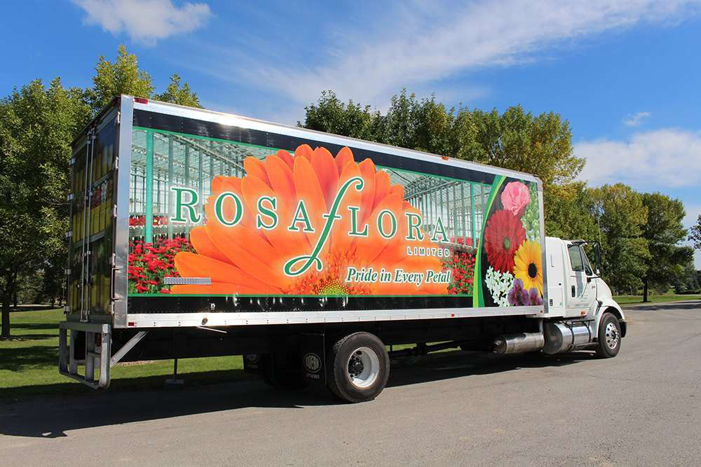 Rosa-Flora-Limited-1