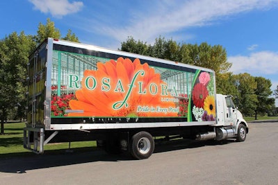 Rosa-Flora-Limited-1