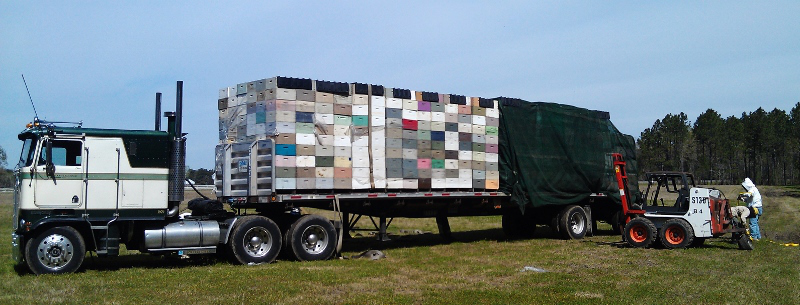 Beehives-load-edit-800x305