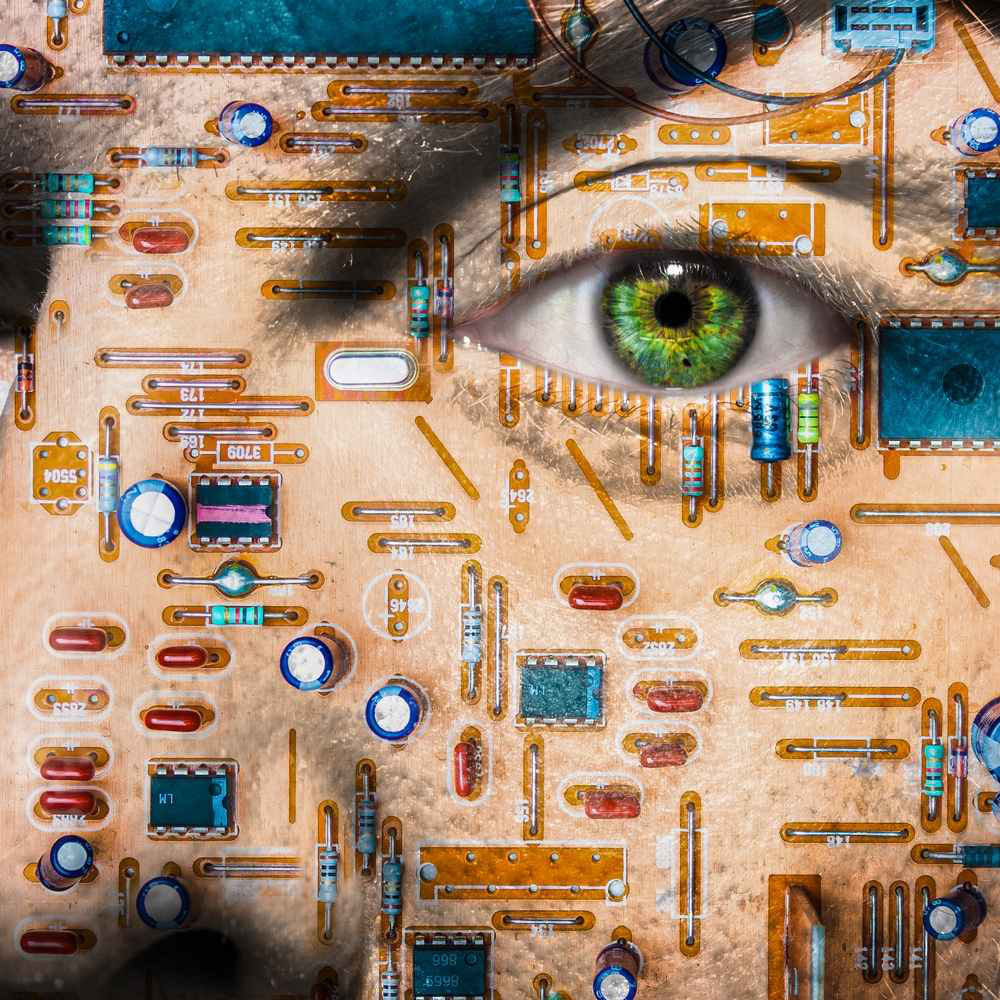 shutterstock_118521220[1]