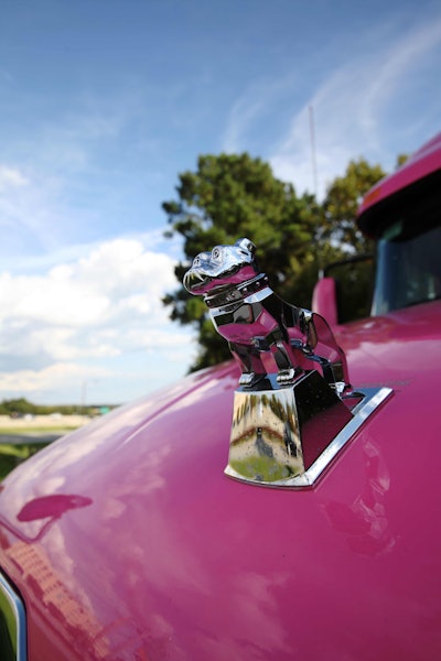 Pink Mack Pinnacle 5