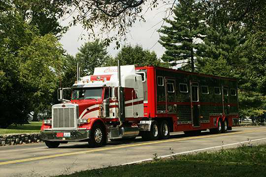 Creech Horse Tranportation