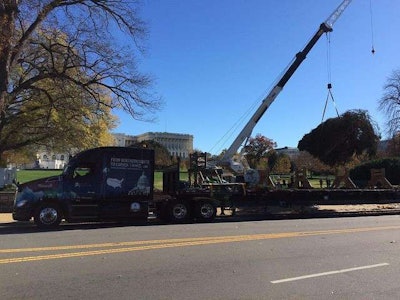 22858051724 D952e407fc Z