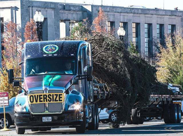 23118365669 8f8b3c09cc Z