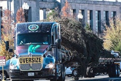 23118365669 8f8b3c09cc Z