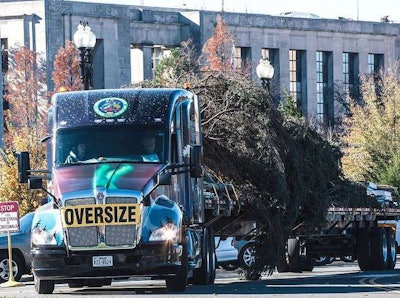 23118365669 8f8b3c09cc Z