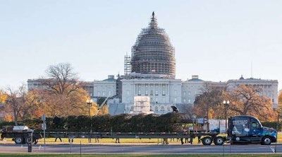 23190588010 C809d3283d Z