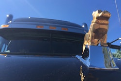 Each of NASCAR’s 11 haulers was outfitted with a gold bulldog on the hood, signifying it is equipped with a fully integrated Mack powertrain.