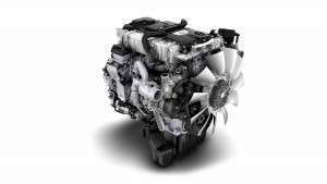 DD5-300x169