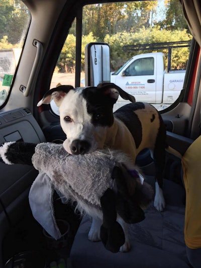 Screen Shot 2016-05-10 at 11.00.22 AM