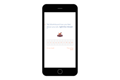WorkHound’s cloud-based system automatically collects driver feedback, anonymously.