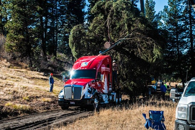 A crane loads the 80-foot Englemann Spruce that will serve as this year’s U.S. Capitol Christmas Tree onto Gary Amoth Trucking’s specially-decaled Kenworth T680.