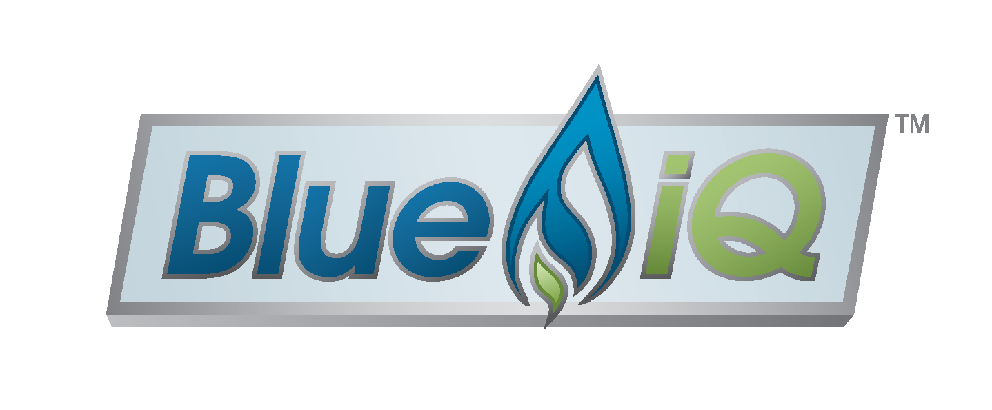 Bluei Q Is Launched By Agility Fuel Solutions To Help Get The Most Mileage Out Of Nat Gas Vehicles