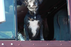Omnitracs is looking for submissions for its Big Rig Buddies 2017 Giveaway. Drivers can submit a photo of their furry travel companion along with a description as to why their pet is the best companion on the road.
