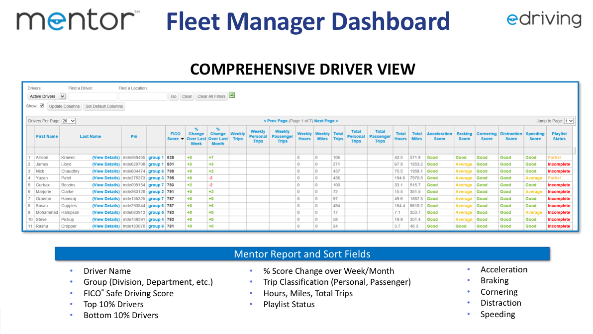 Mentor: Fleet Manager Dashboard and Comprehensive Driver View