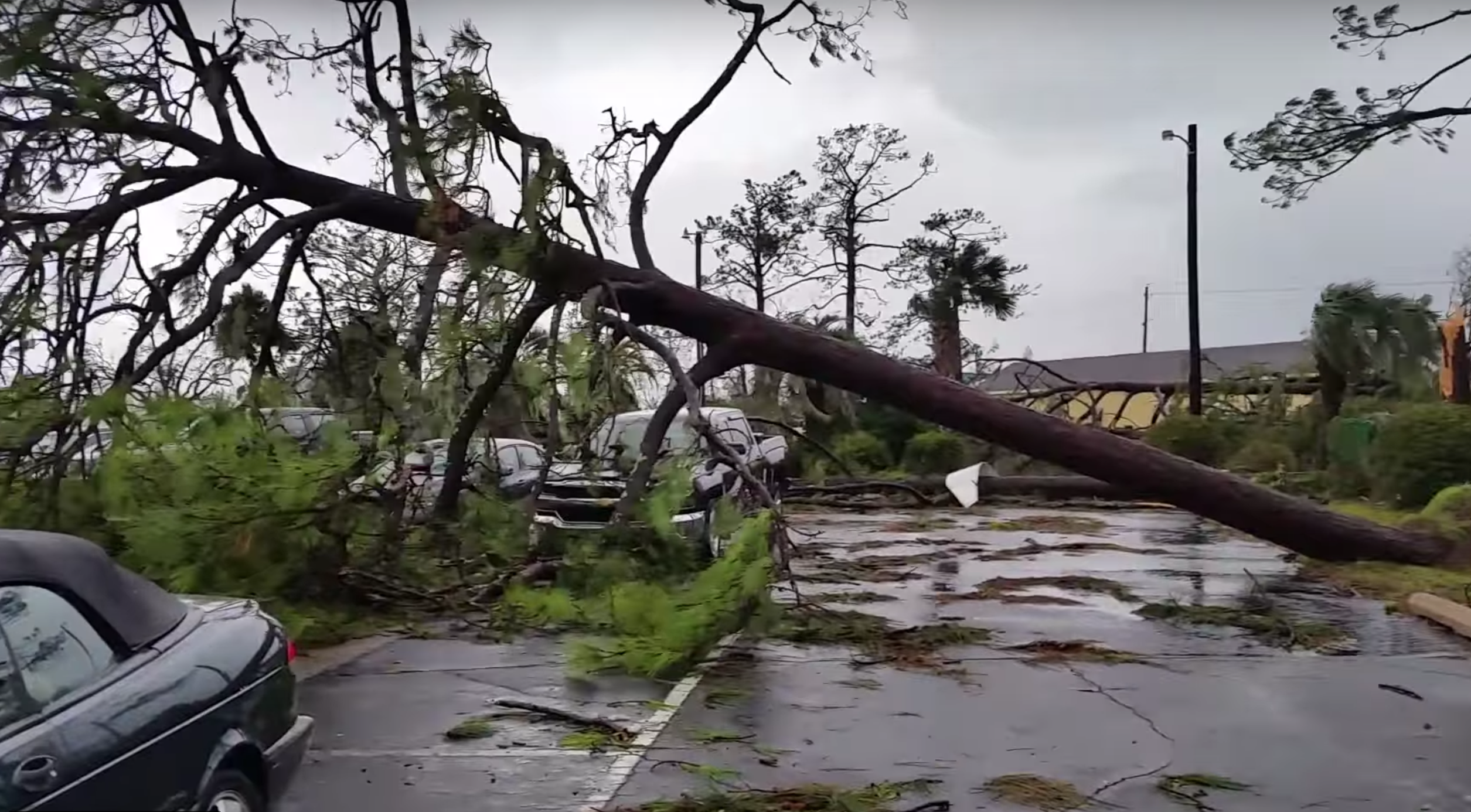 hurricane-michael-crushed-truck