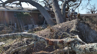 The roots on this old oak lost the fight during Cat 4 hurricane winds and fell over on our house and an old boat I had been restoring.