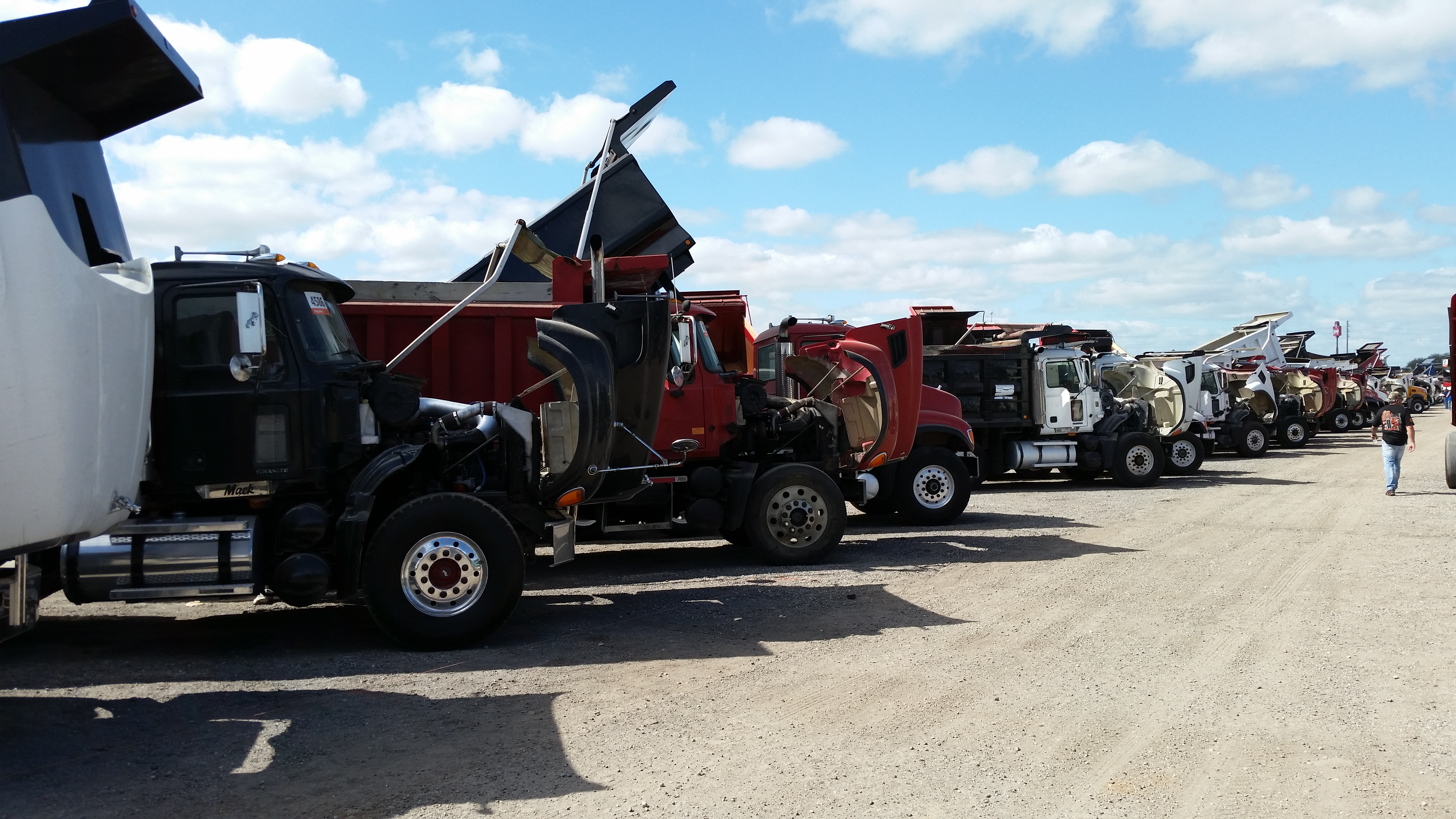 Row of Dump Trucks