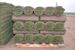 turfgrass-sod-tpi-2019-06-19-10-42