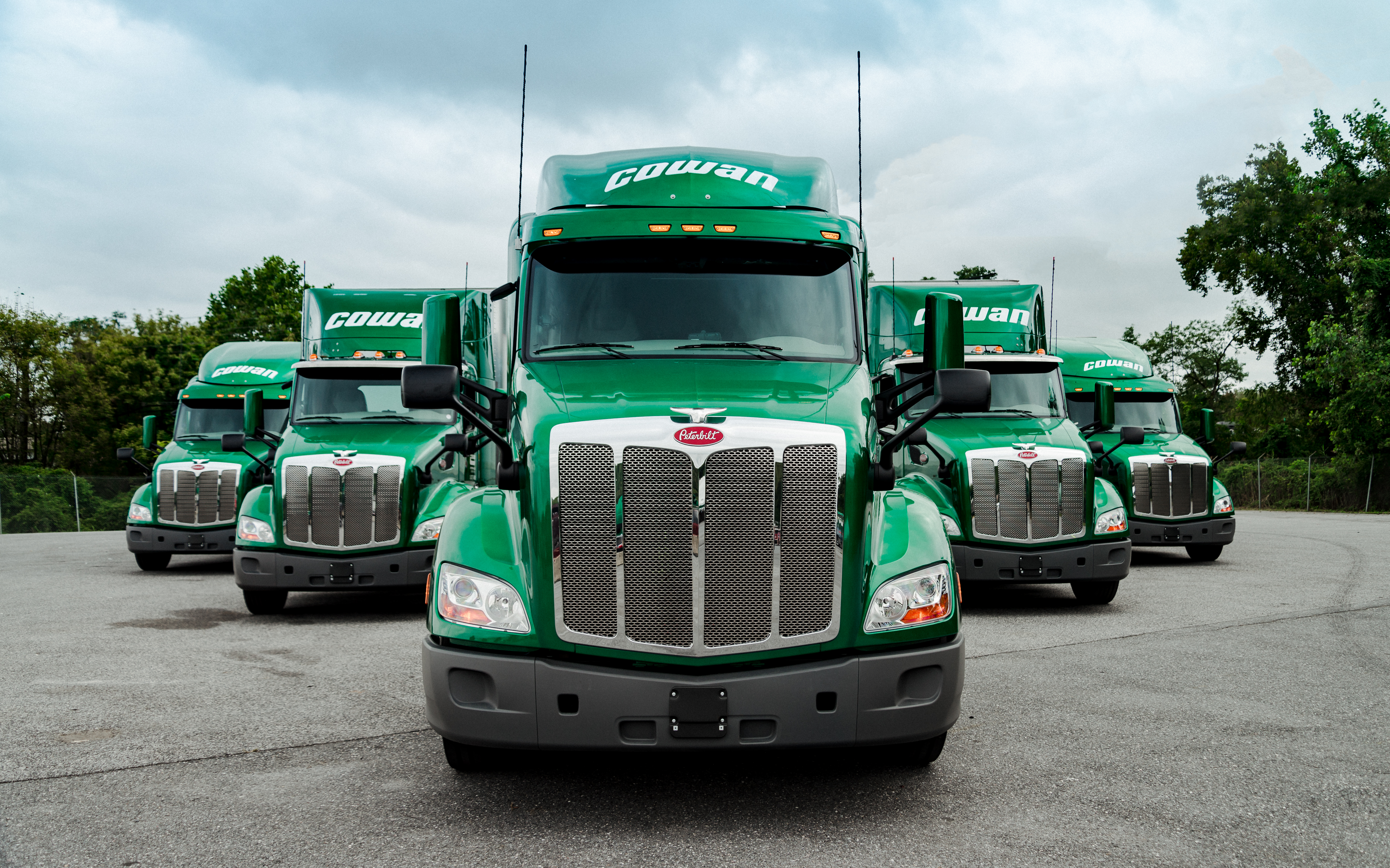 DSC_2527-Edit-2019-07-12-10-04