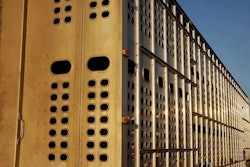 Livestock