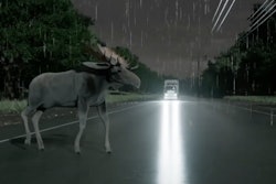 animated moose crossing road
