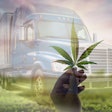 transparent semi truck with transparent hand in front of truck holding marijuana leaf