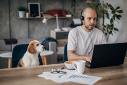 Man working from home with dog