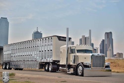 Livestock Prideand Polish