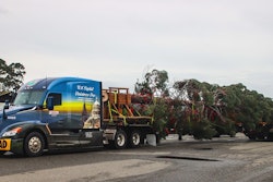 System Transport will haul the 84-foot White Fir from California to Washington, D.C. in a specially-wrapped Kenworth T680.