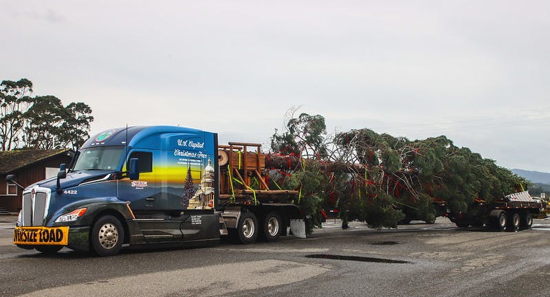 2021 Capitol Christmas Tree U S Capitol Christmas Tree Begins Cross Country Journey Commercial Carrier Journal 2021 Capitol Christmas Tree U S Capitol Christmas Tree Begins Cross Country Journey Commercial Carrier Journal