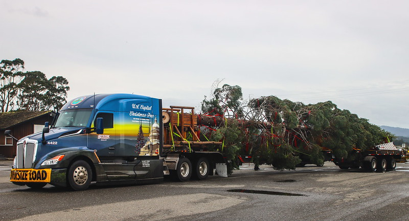 System Transport will haul the 84-foot White Fir from California to Washington, D.C. in a specially-wrapped Kenworth T680.