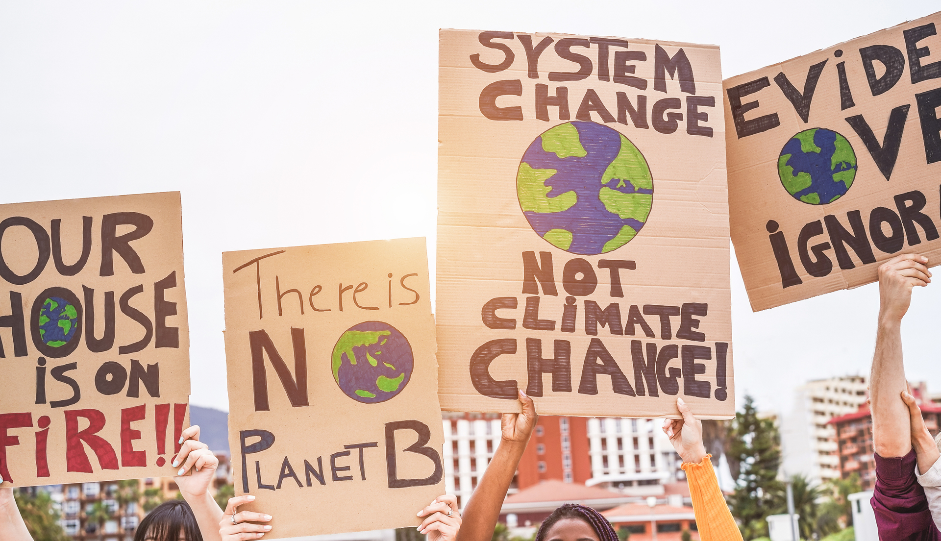 climate change protest signs