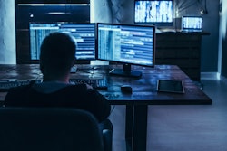 Person sitting at a computer in a home office