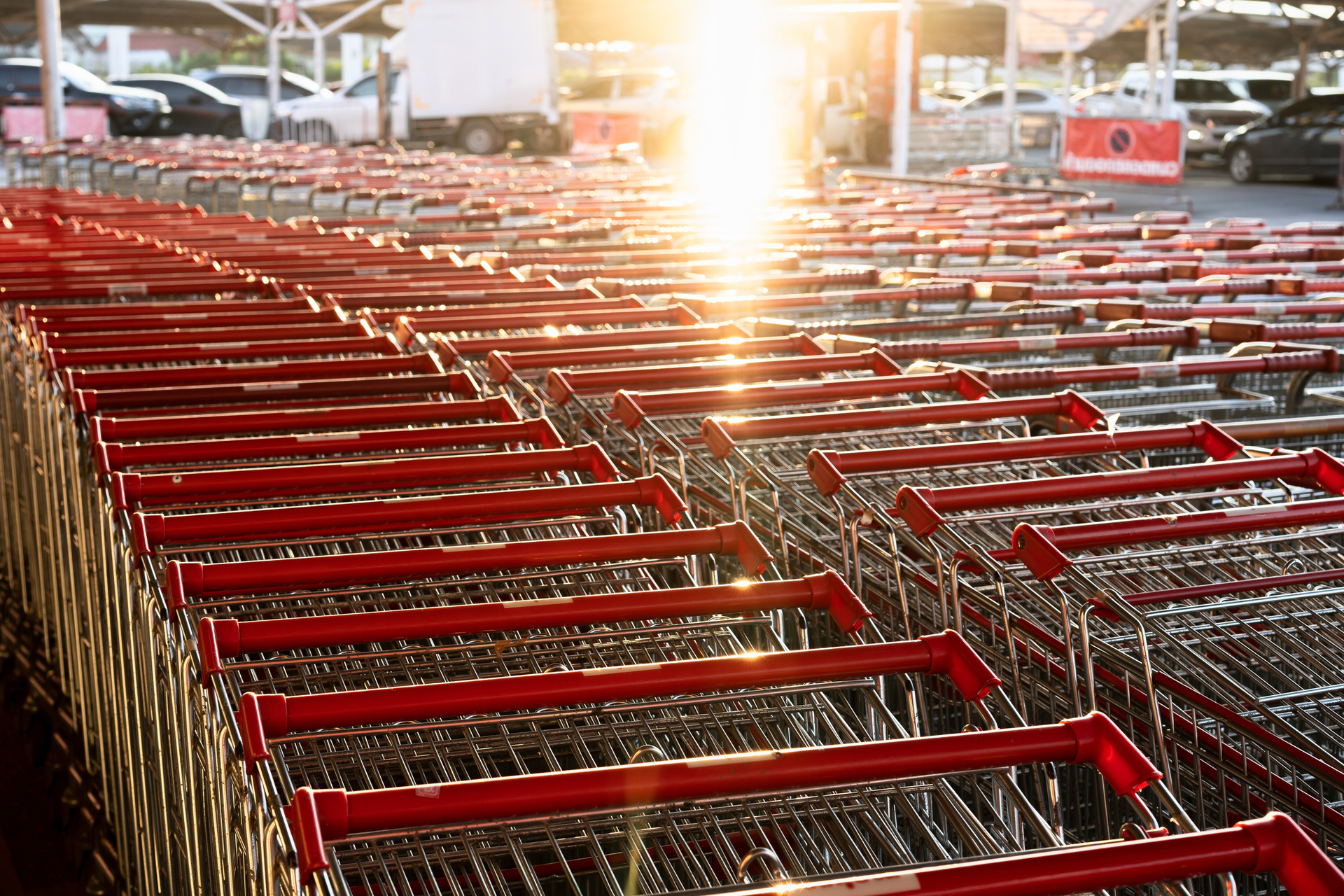 shopping carts at a store