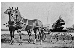 horses and buggy